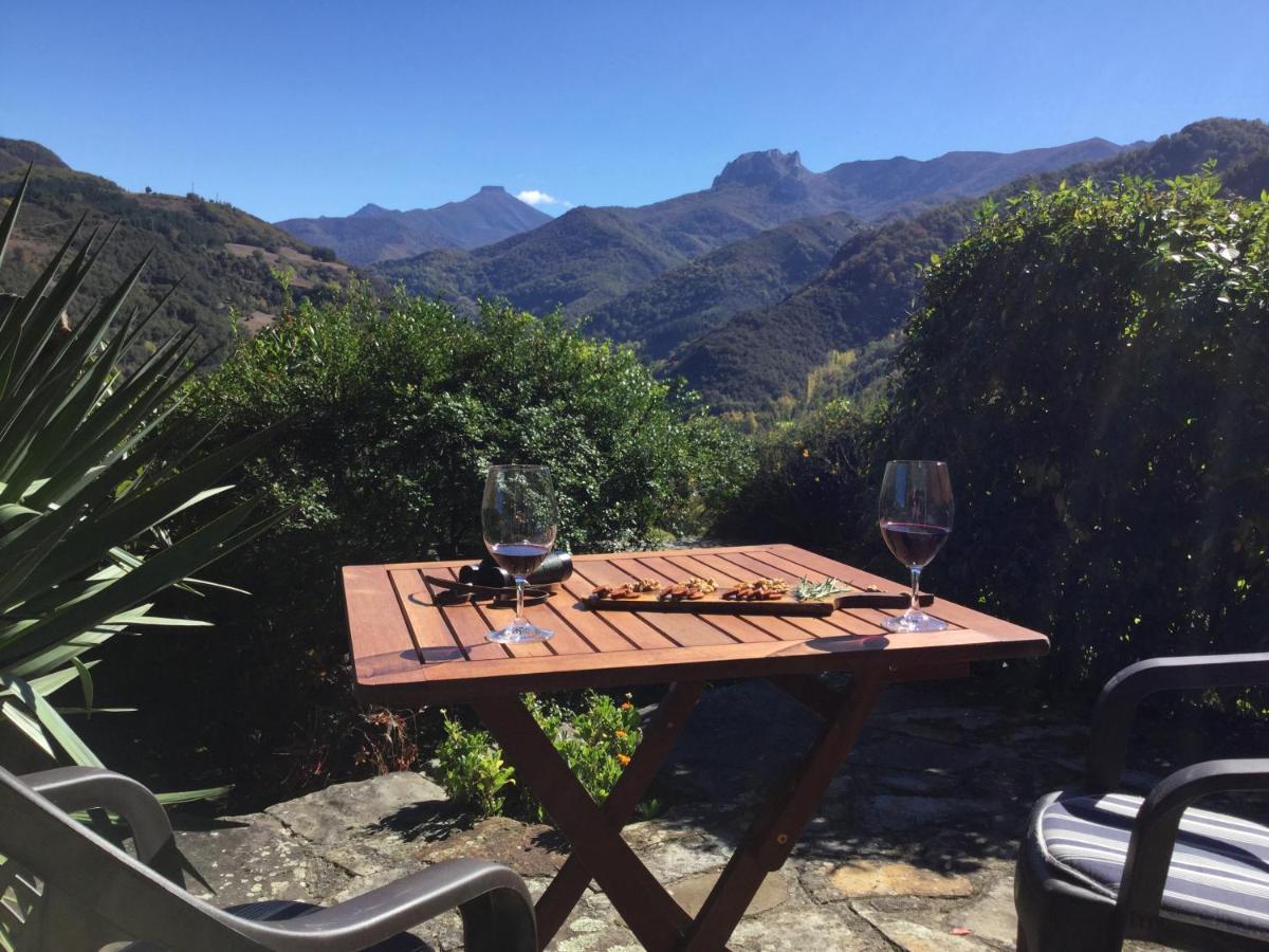 Olmares Terrace Apartment - Picos De Europa Lomeña Dış mekan fotoğraf