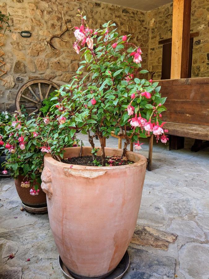 Olmares Terrace Apartment - Picos De Europa Lomeña Dış mekan fotoğraf